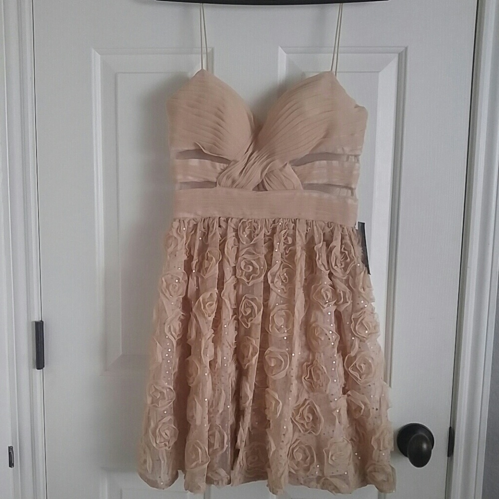 Nwt Arden b cocktail formal dress